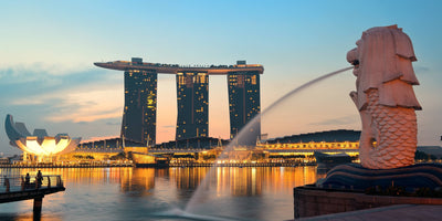 Official Languages in Singapore: Unraveling the Linguistic Diversity
