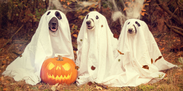 The Linguistic Ghosts of Halloween Around the World